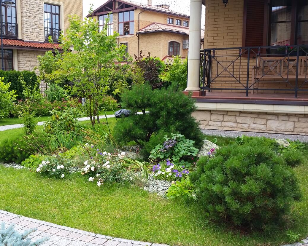 Проект Маленькая Италия